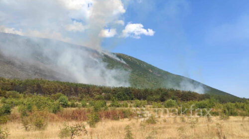 Zjarri në Zhelinë është vendosur nën kontroll