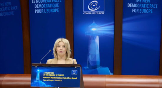 (VIDEO) Arsovska letër të hapur euroambasadorit Rokas: Mafia ka shtet në Maqedoni