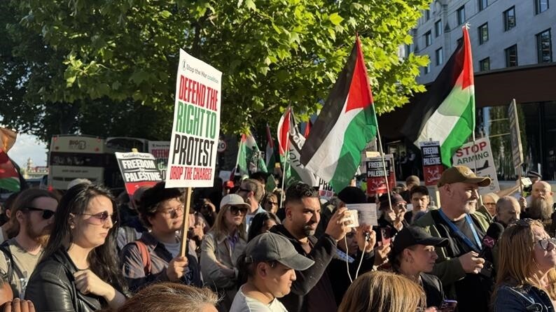 Policia britanike arreston protestues pasi hyn në fuqi ndalimi i grupit  Palestine Action 
