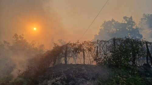 Një zjarr i madh pyjor detyron evakuimin në disa fshatra të Greqisë