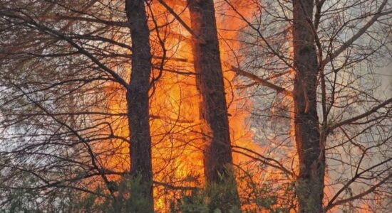 Valë nxehtësie dhe zjarre masive në Spanjë, humbin jetën dy persona