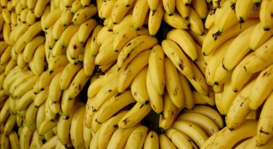 Kokainë e fshehur në dërgesat e bananeve zbulohet në supermarkete daneze