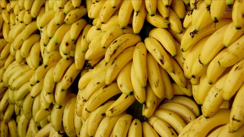 Kokainë e fshehur në dërgesat e bananeve zbulohet në supermarkete daneze