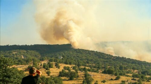Pamje dramatike të zjarreve pyjore derisa Turqia lufton me flakët në rajone të shumta