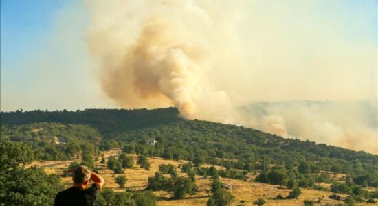 Pamje dramatike të zjarreve pyjore derisa Turqia lufton me flakët në rajone të shumta