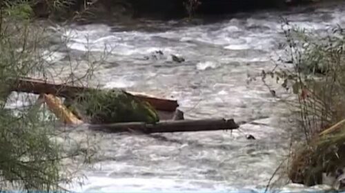 Është gjetur trupi i vajzës 16-vjeçare e cila u zhduk në ujërat e Vardarit në Gradsko