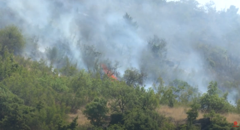 (VIDEO) Pyjet e RMV-së vazhdojnë të digjen, për çdo ditë nga 15 zjarre