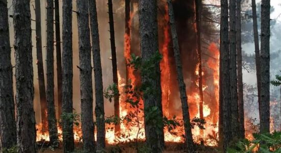 Viktima e dytë nga zjarret, humb jetën një burrë në Kriva Pallankë