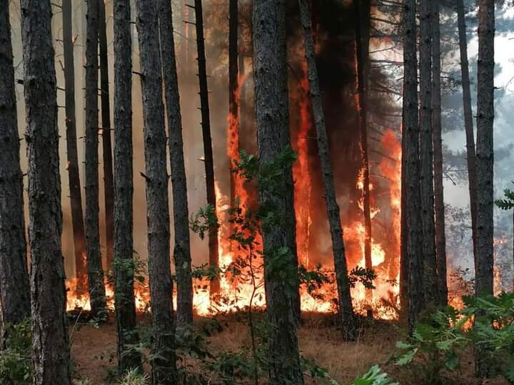 Viktima e dytë nga zjarret, humb jetën një burrë në Kriva Pallankë