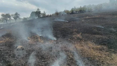 (VIDEO) 38 zjarre në ambiente të hapura, 8 vazhdojnë të djegin pyjet