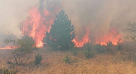 Gjashtë zjarre aktive dhe katër nën kontroll
