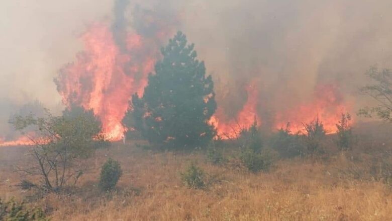 Gjashtë zjarre aktive dhe katër nën kontroll