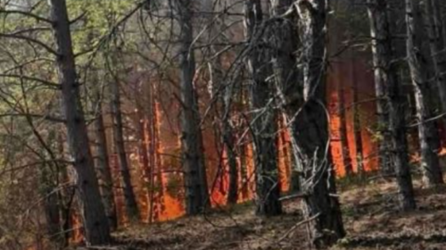 Zjarri në “Jasen”, mbyllet rruga rajonale Makedonski Brod – Shkup