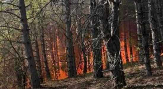 Zjarri në “Jasen”, mbyllet rruga rajonale Makedonski Brod – Shkup