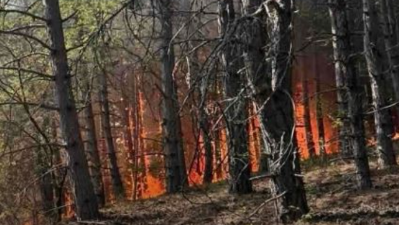 Zjarri në “Jasen”, mbyllet rruga rajonale Makedonski Brod – Shkup