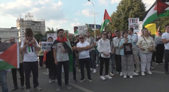 Protestë në Shkup në mbështetje të Palestinës”