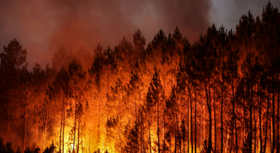 Zjarret shpërthejnë në të gjithë Evropën Jugore mes temperaturave rekord