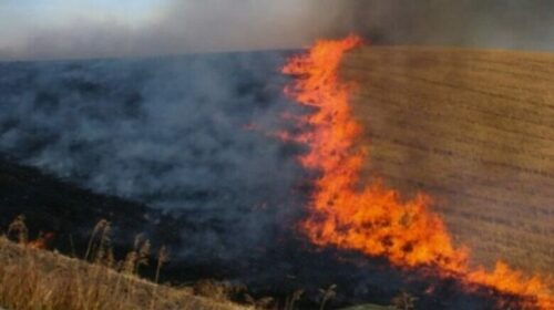 Deri në orën 12:00 në RMV ka 5 zjarre në hapësirë të hapur, 2 janë aktivë