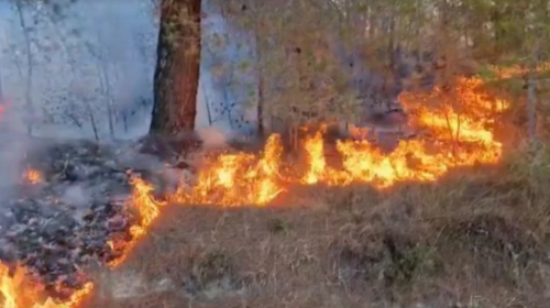 QMK njofton se tre zjarre janë regjistruar në hapësirë të hapur, njëri është ende aktiv