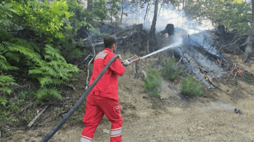 Shqipëria “nën flakë”! 50 vatra zjarri gjatë 24 orëve
