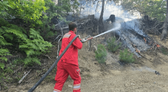 Shqipëria “nën flakë”! 50 vatra zjarri gjatë 24 orëve