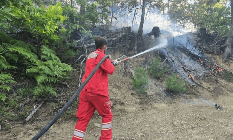 Shqipëria “nën flakë”! 50 vatra zjarri gjatë 24 orëve