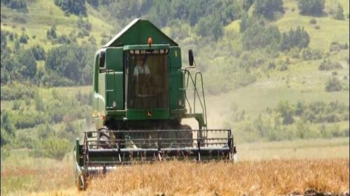 (VIDEO) Paralajmërohen shpallje publike për fermerët e rinj