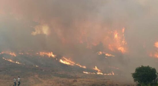 Rikthehen zjarret në Maqedoni, vetëm sot janë regjistruar 22 vatra