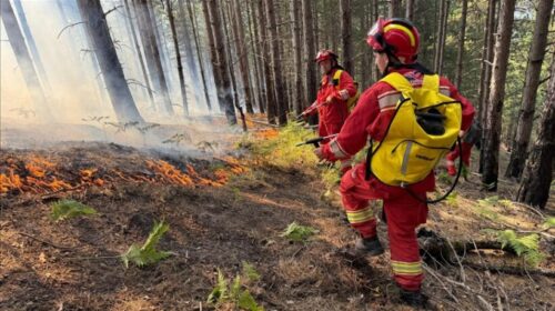 Zjarret në Shqipëri: 14 persona të identifikuar për zjarrvënie në 24 orët e fundit, 10 në pranga
