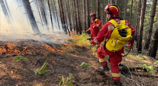 Zjarret në Shqipëri: 14 persona të identifikuar për zjarrvënie në 24 orët e fundit, 10 në pranga