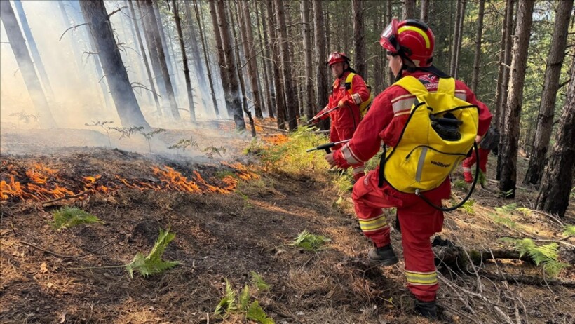 Zjarret në Shqipëri: 14 persona të identifikuar për zjarrvënie në 24 orët e fundit, 10 në pranga