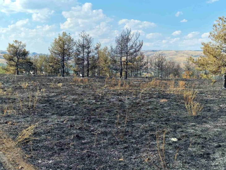 Nuk ka zjarre aktive, nën kontroll zjarret në “Jasen”, në Dollnen dhe në Kozhuf