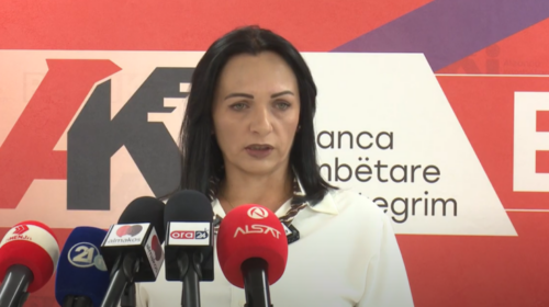 (VIDEO) BDI: Mickoski merret me trillime