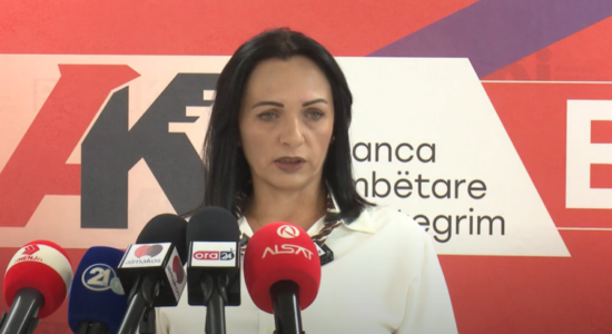 (VIDEO) BDI: Mickoski merret me trillime