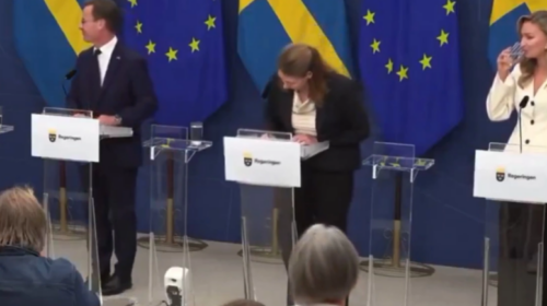 (VIDEO) Ministrja e Shëndetësisë në Suedi humb ndjenjat, rrëzohet gjatë konferencës