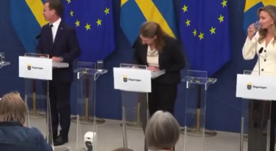 (VIDEO) Ministrja e Shëndetësisë në Suedi humb ndjenjat, rrëzohet gjatë konferencës