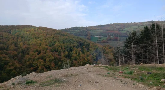 Dyshime për varrezë masive, të mërkurën nisin inspektimet afër Novi Pazarit