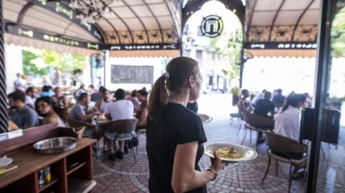 Më së shumti punëtorë kërkohen në veprimtaritë shërbyese dhe shitje