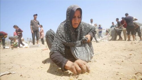 Gaza regjistron 185 vdekje nga uria në gusht, numri më i lartë mujor që nga fillimi i luftës