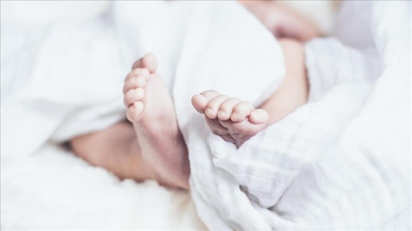 Britani, shkalla e ulët e lindjeve kërcënon të mbyllë 800 shkolla fillore deri në vitin 2029