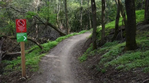 Mision i suksesshëm shpëtimi në Vodno, dy persona gjenden dhe evakuohen në mënyrë të sigurt