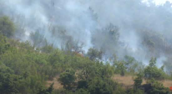 (VIDEO) MPHJ: Grimcat PM10 në Trubarëve brenda kufijve të lejuara