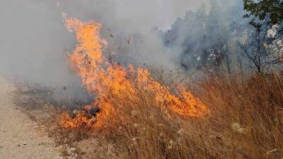 Privohet nga liria një burrë nga rrethina e Tetovës për shkaktim të zjarrit