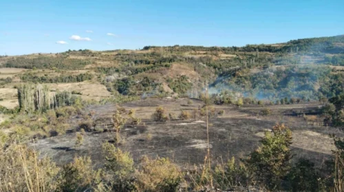 Angellov: Plotësisht nën kontroll zjarri mbi Batincë, kemi indikacione se është vënë qëllimisht