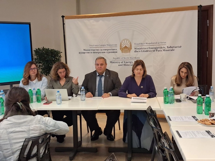 (VIDEO) Shkupi nikoqir i Forumit Ndërkombëtarë Energjetik