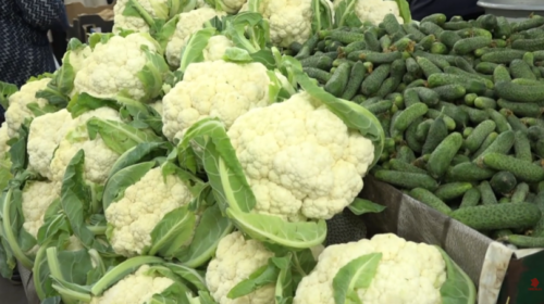 (VIDEO) Qytetarët: Pa turshi s’ka shije buka