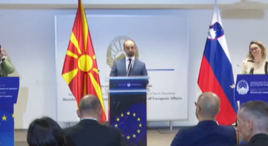 (VIDEO) Austria dhe Sllovenia mbështesin dialogun mes Shkupit dhe Sofjes