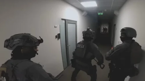 Europoli çmomton një rrjet të gjerë kriminel kibernetik