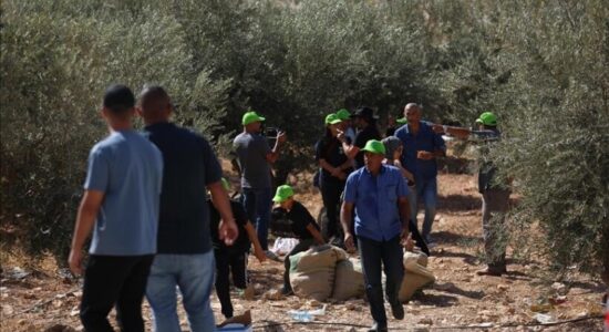 Izraeli deporton 32 aktivistë të huaj për mbështetjen e fermerëve palestinezë