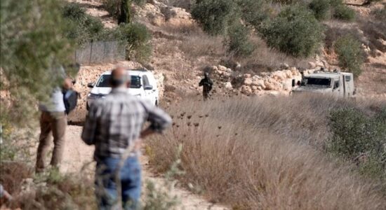Palestinezët dokumentojnë mbi 150 sulme nga kolonët izraelitë që nga fillimi i sezonit të vjeljes së ullinjve